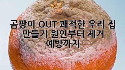 🏡 곰팡이 OUT! 쾌적한 우리 집 만들기 (원인부터 제거, 예방까지!)