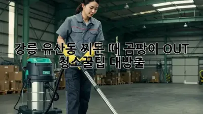강릉 유산동🏡 찌든 때, 곰팡이 OUT! 청소🧹꿀팁 대방출