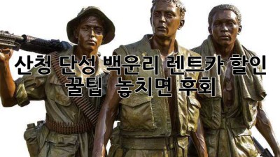 산청 단성 백운리 렌트카 할인 꿀팁 🚗💨 놓치면 후회!